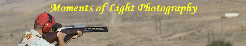 Moments of Light Photography