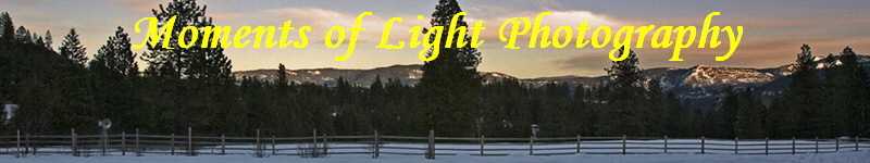 Moments of Light Photography