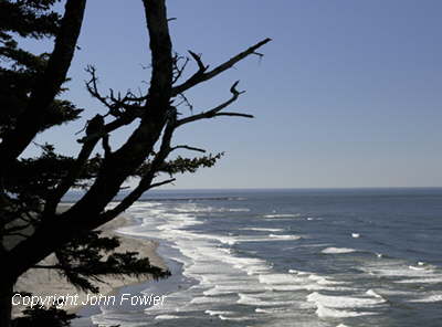 Cape Disappointment Shore