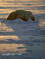 Sunset by Hudson Bay